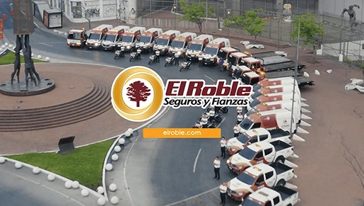 Cliente El Roble